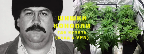 Альфа ПВП Алзамай