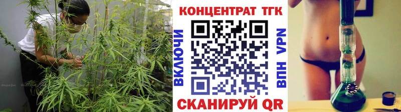 где купить наркоту  Злынка  ТГК гашишное масло 