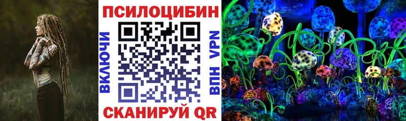 хочу   Злынка  Галлюциногенные грибы Psilocybine cubensis 